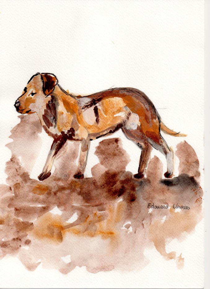 Illustration